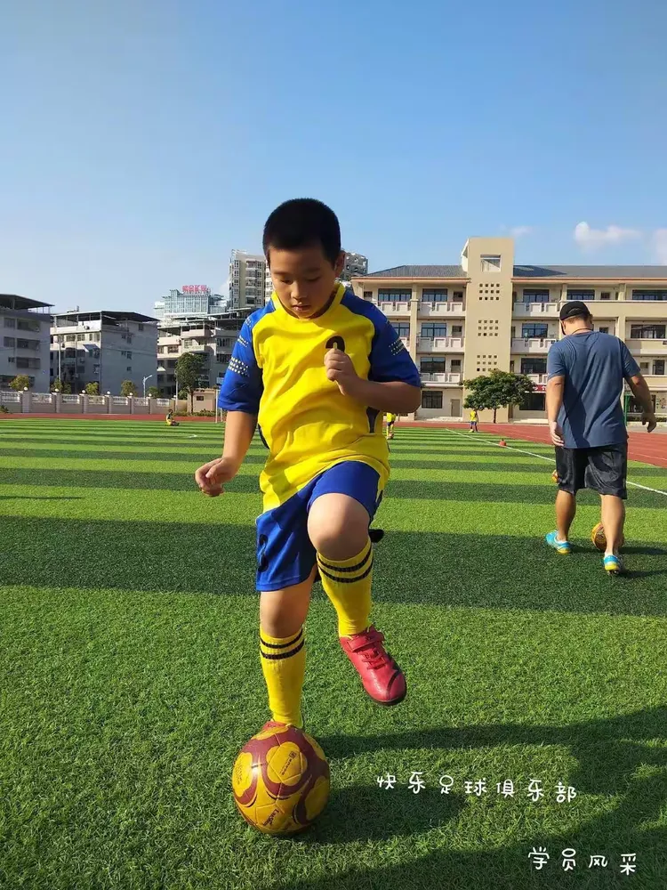 尼姆阵容 尼姆阵容